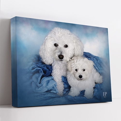 Picture for category Pet Memorial Portraits